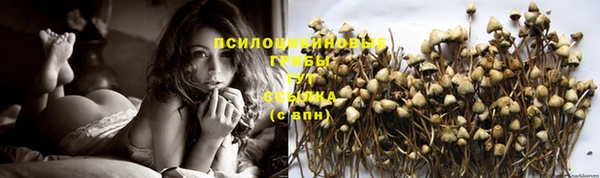 дмт Инсар