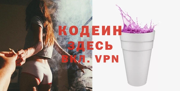 дмт Инсар