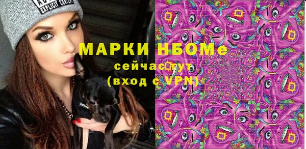 дмт Инсар