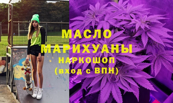 дмт Инсар