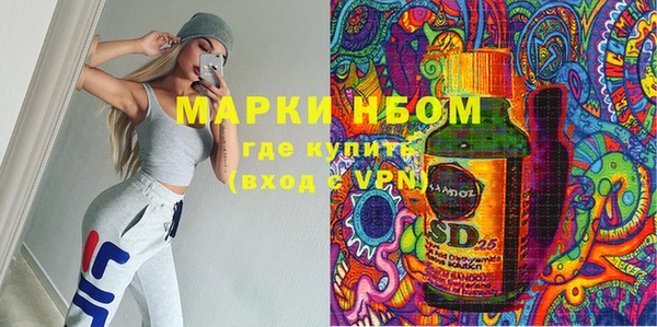 дмт Инсар