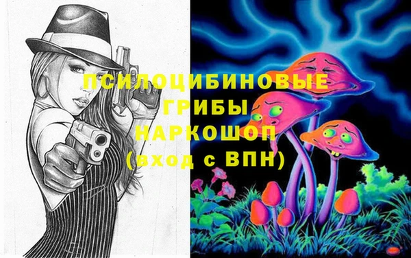 дмт Инсар