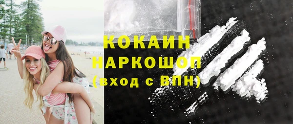 дмт Инсар