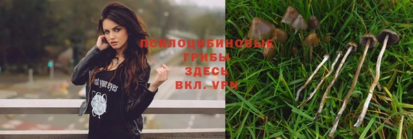 дмт Инсар