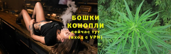 дмт Инсар